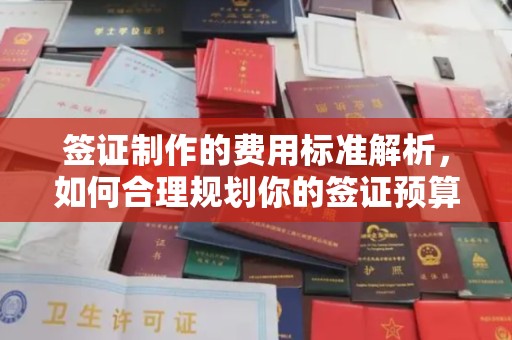 怀安签证制作的费用标准解析，如何合理规划你的签证预算