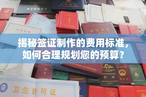怀安揭秘签证制作的费用标准，如何合理规划您的预算？